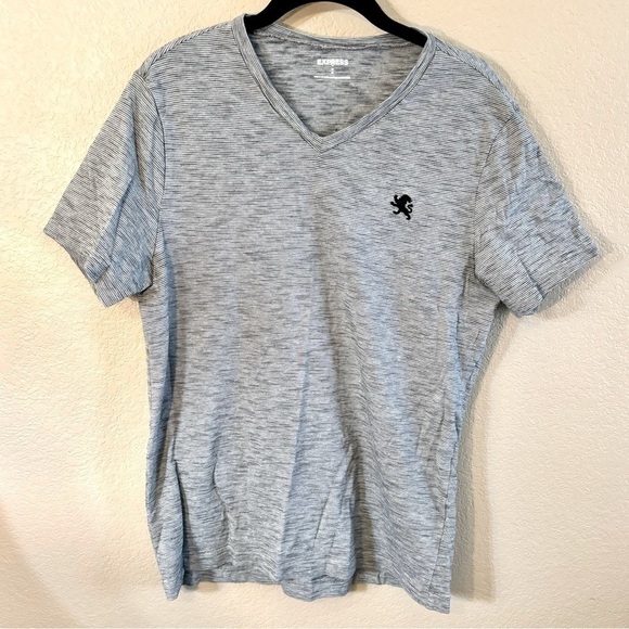 Express Men’s Tee Medium Grey Black Stripes V-Neck Short Sleeves Cotton - Picture 1 of 9